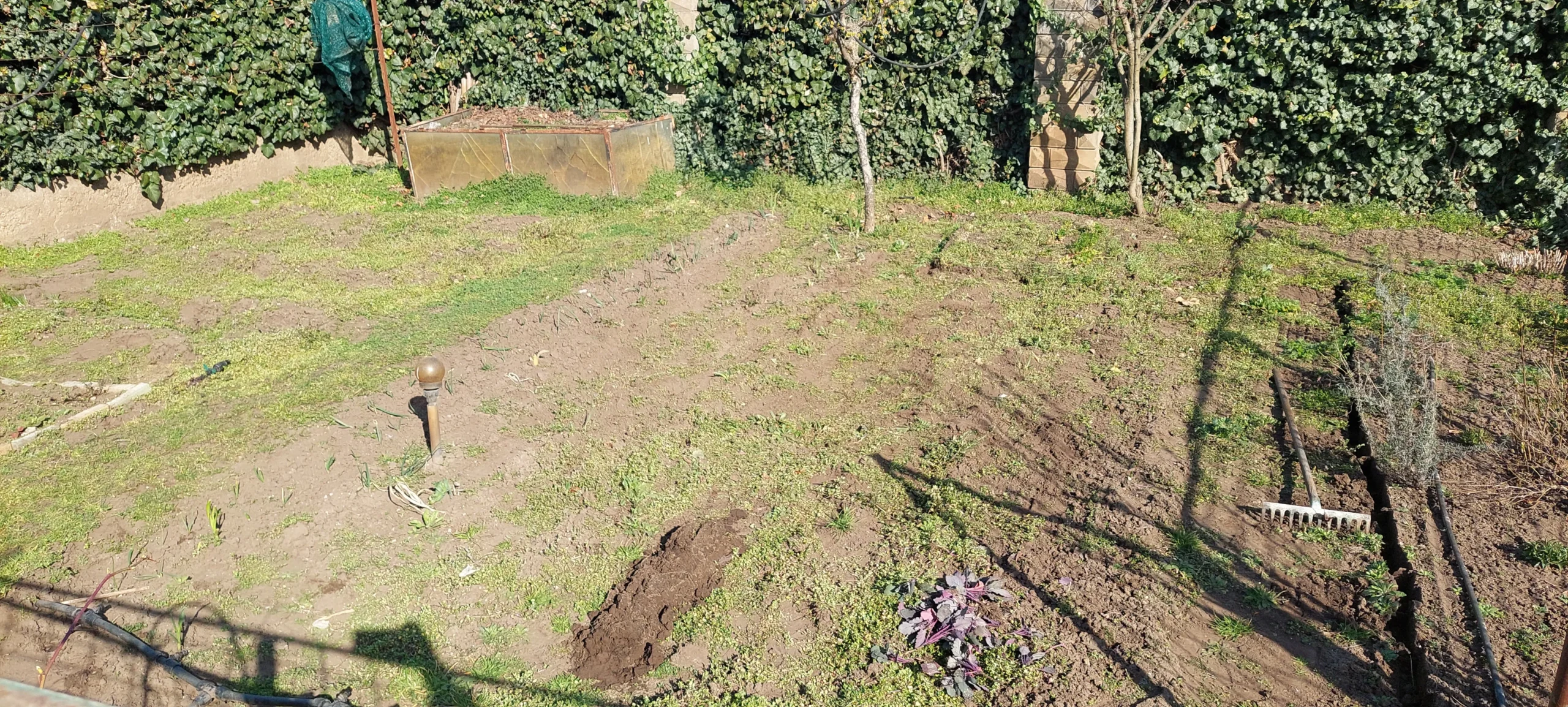 Veteményes kert előtte